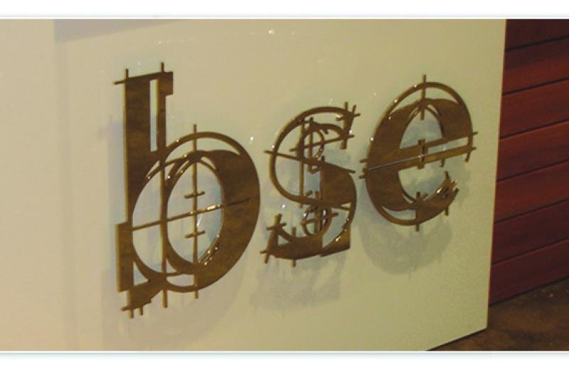 bse_stainless_steel_on_pins copy